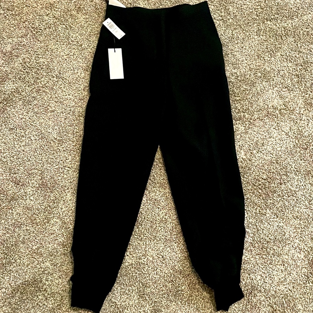 Aritzia Babaton Allegory Pants